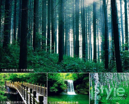走在林间小道上 京郊6大森林公园游玩攻略